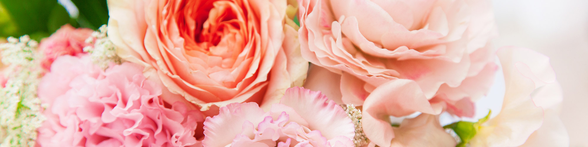 イメージ イメージ